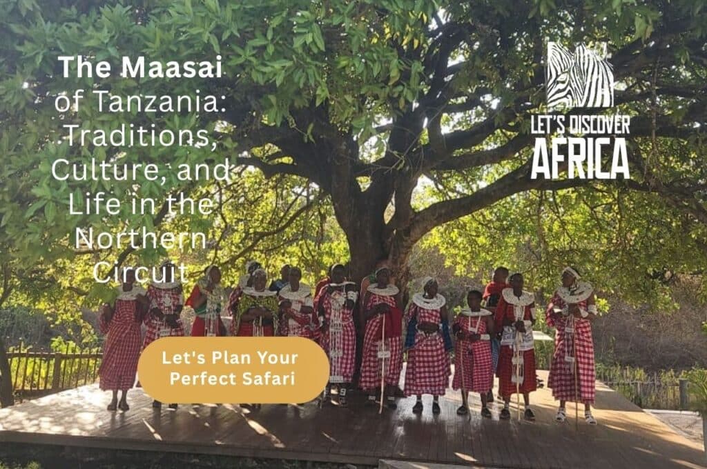 The Maasai of Tanzania Traditions Culture and Life in the Northern Circuit - Lets Discover Africa Maasai