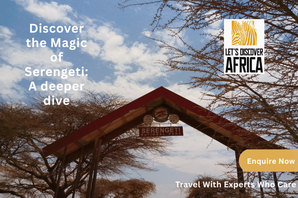Discover the Magic of Serengeti A deeper dive - Lets Discover Africa Discover Serengeti