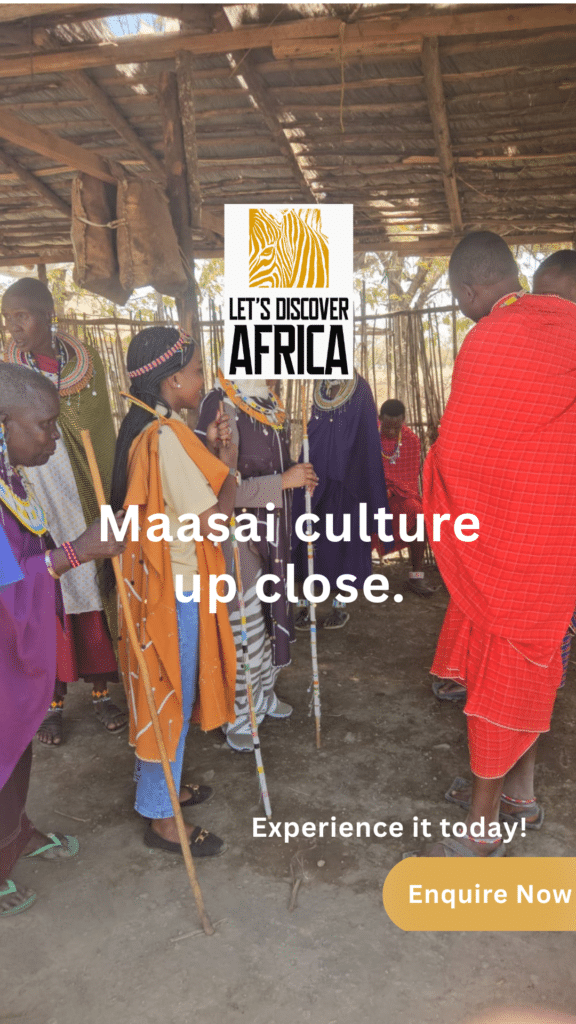 Tanzania Safari - Lets Discover Africa Tanzania Safari Experiences