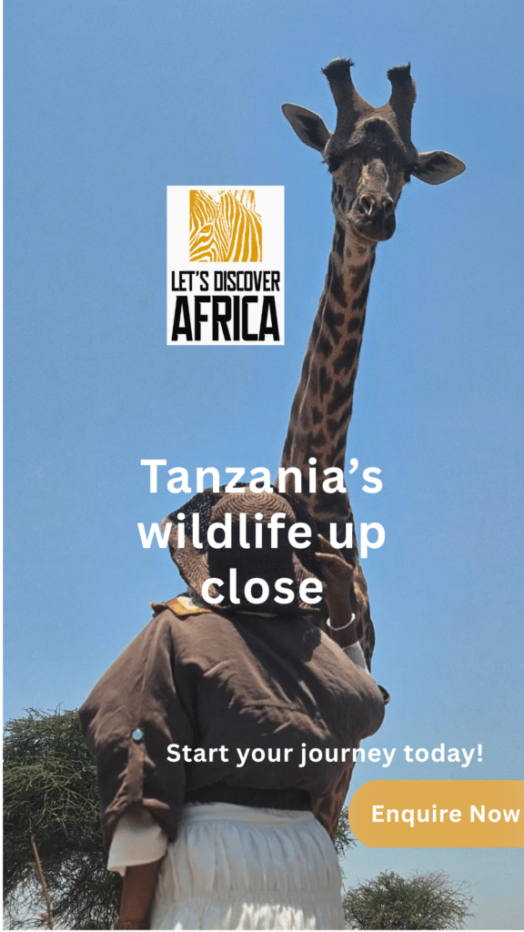 Tanzania Safari - Lets Discover Africa Tanzania Safari Experiences