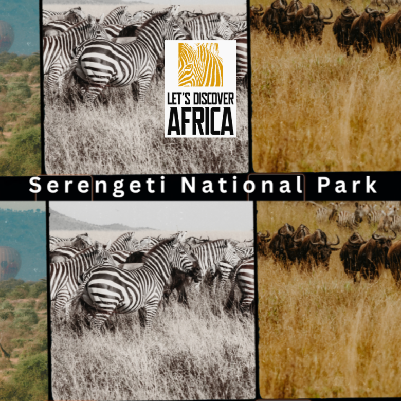serengeti