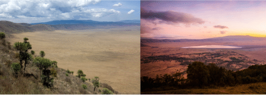 Ngorongoro Crater