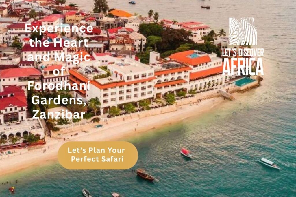 Forodhani Zanzibar