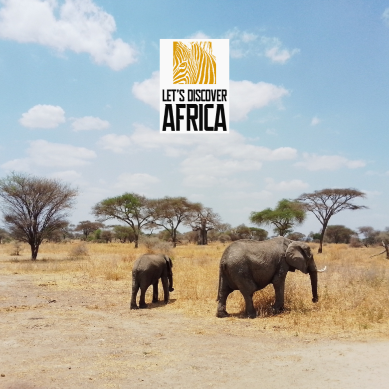 Dry Season Safari Tanzania