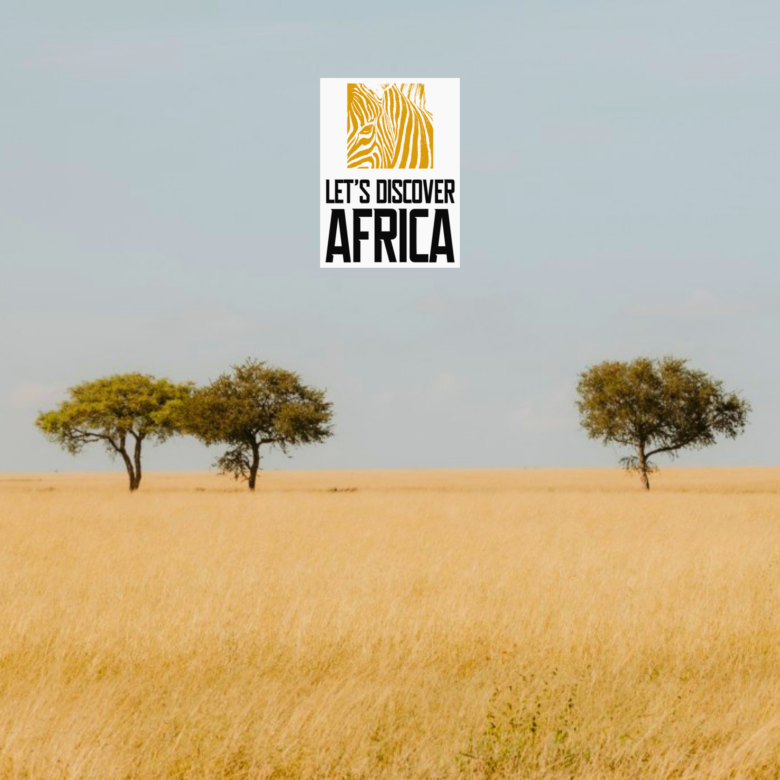 Discover the Magic of Serengeti A deeper dive