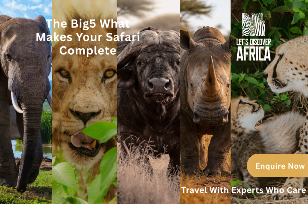 Big 5 Tanzanian Safari