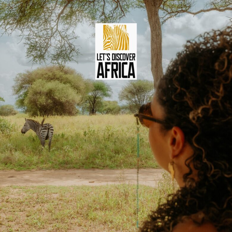Tanzania safari guide