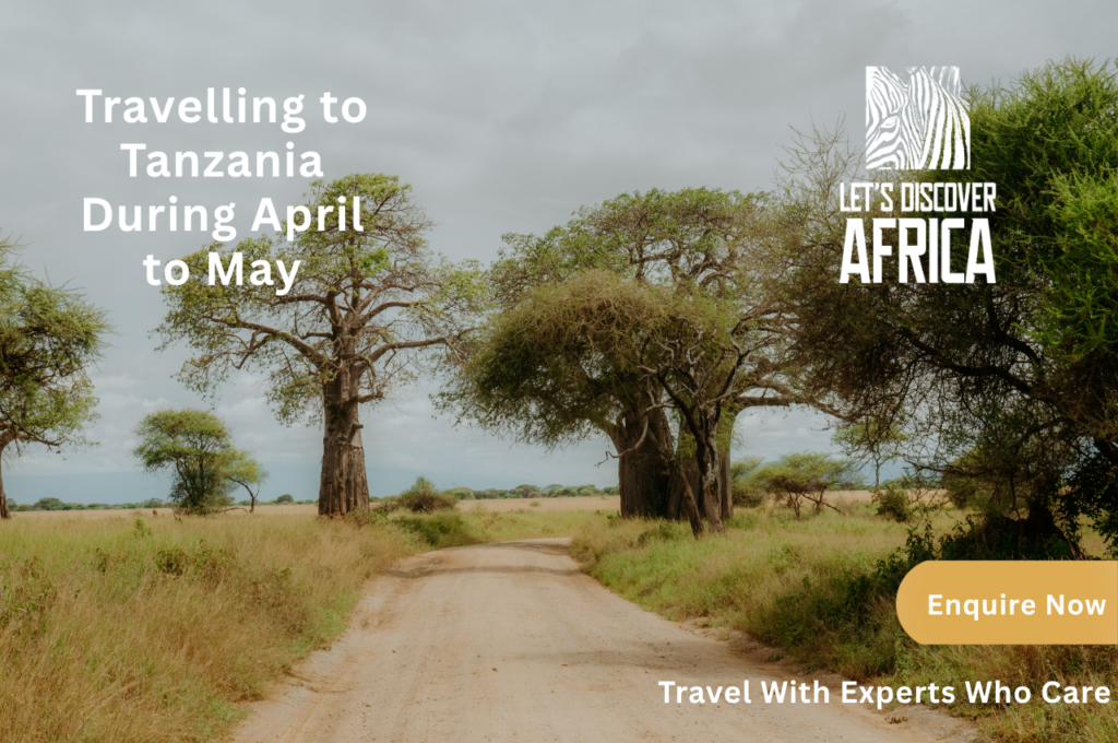 Travelling to Tanzania During April to May