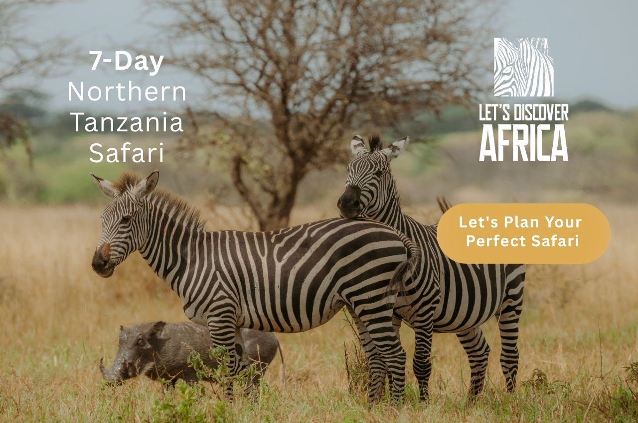 Northern Tanzania Safari