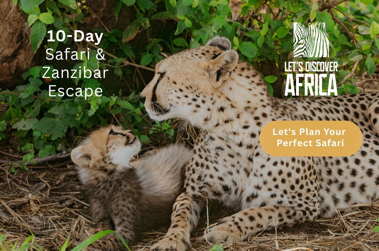 Safari Zanzibar Escape