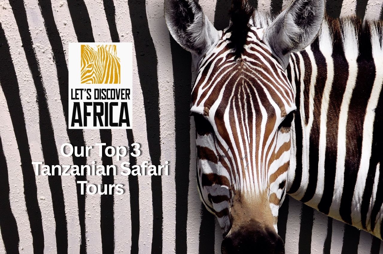 Top Tanzania Safari Tours