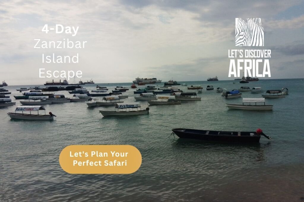 Zanzibar Island Escape