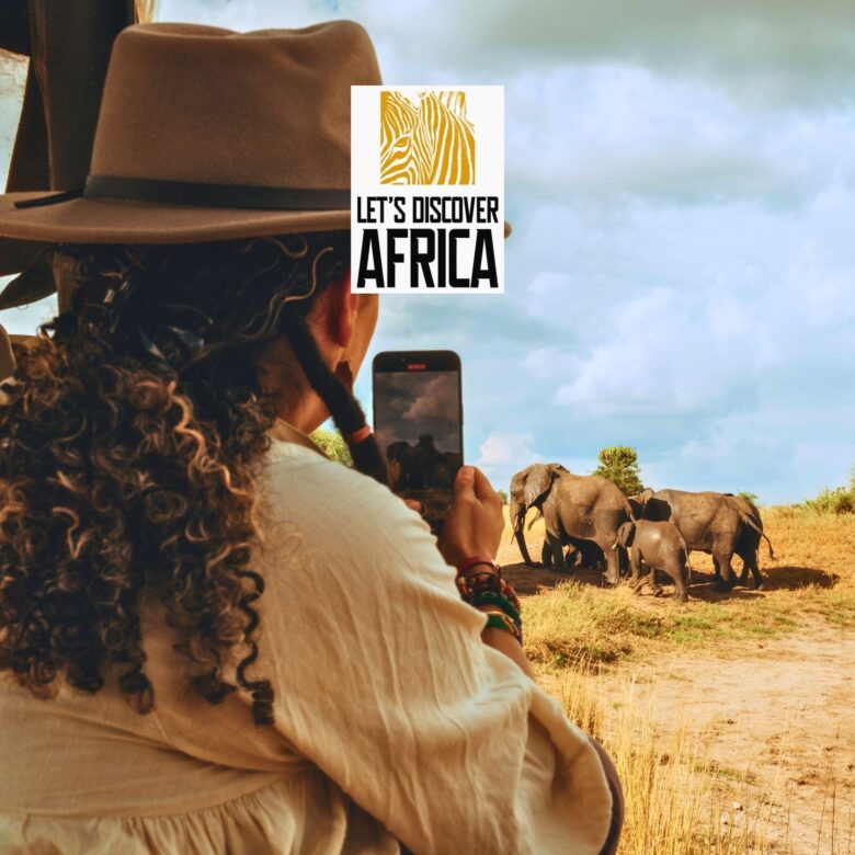 Traveler photographing elephants on a budgeted Tanzanian safari